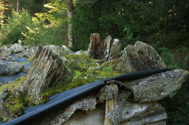 Kniebis 2009 Bild 29